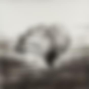 Bananas (preview)