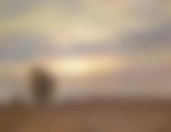 Sunrise over the harvest (preview)