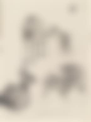 Mountain antelopes (preview)