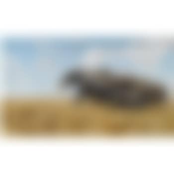 Elefanten Auf Der Wanderung (Elephants On The Move) (preview)