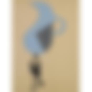 Acrobat (preview)