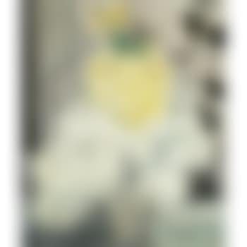 Spring Flowers (preview)