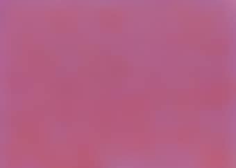 Viola Rosso (preview)