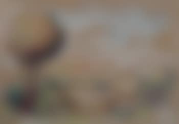 Paysage (preview)