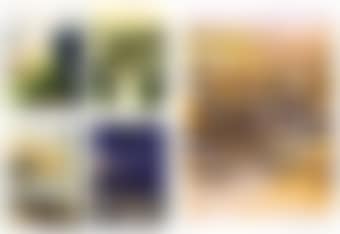 Beauregard (preview)