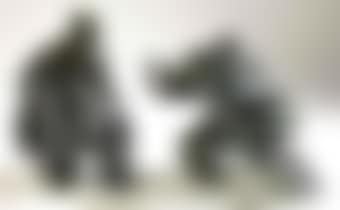 Taichi Series - Sparring (preview)