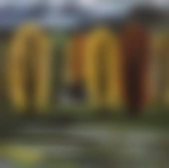 Autumn Forest (preview)