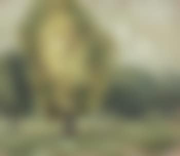 Early landscape (preview)