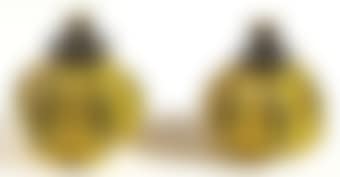 Pumpkin; & Pumpkin (preview)