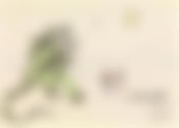 Couple et Dragon (preview)