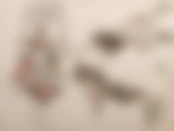 Untitled (preview)