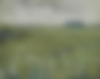 Paysage (preview)