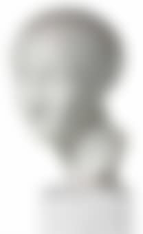 Early Ideal Head (La Mysterieuse) (preview)