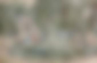 Fountain, Central Park (preview)