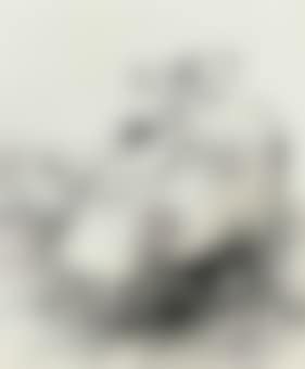 Gentleman and friend (preview)
