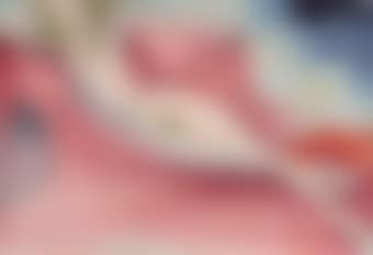 Playmate after Rokeby Venus (preview)