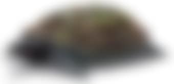 Tortue Topiaire III (preview)