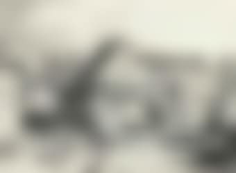 A farmyard scene with four piglets (preview)