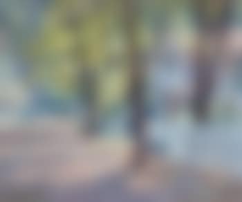 Franklin Village, Michigan (preview)