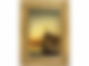 Banks of the Nile with sunset (preview)