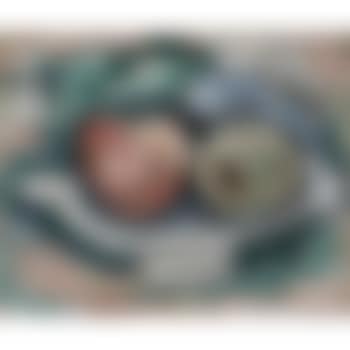 Apples On A Plate (preview)