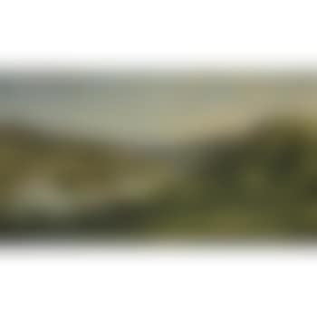 View On The Allegheny Near Pittsburgh (preview)