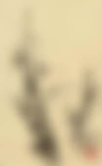 Orchid (preview)