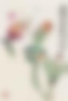 Orchid (preview)