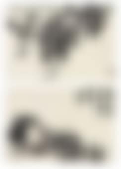 Flowers by Chen Shizeng (preview)