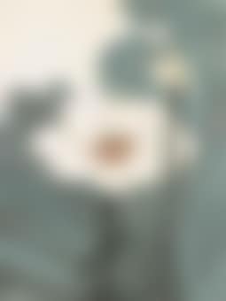 Lotus in Summer (preview)
