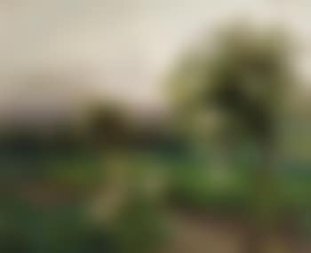 Sommerabend, es ist die Zeit der Rosenpracht (preview)