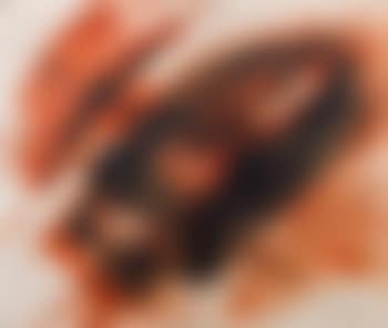 Rot und Schwarz auf Weiß - Gainfarn (preview)