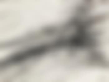 Composition (preview)