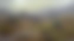 Chèvres au pâturage (preview)