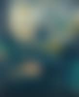 Composition (preview)