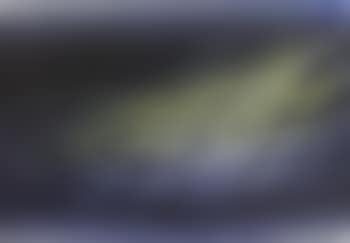 T1966-H43 Composition (preview)