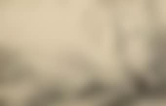 A landscape with cattle on a path (preview)