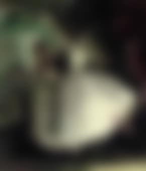 Ballerinas (preview)
