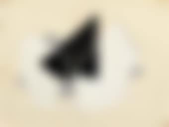 Abstract Sequence No. 5 (preview)