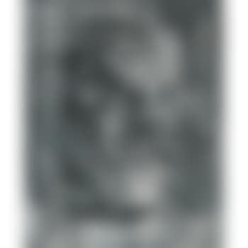 Buddha's Warrior N.P-1 (preview)