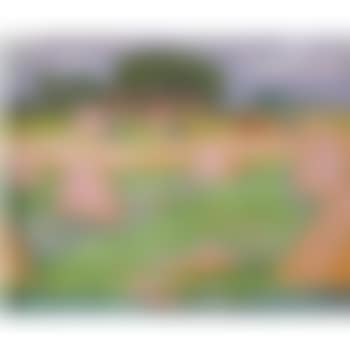 Hooioppers (preview)