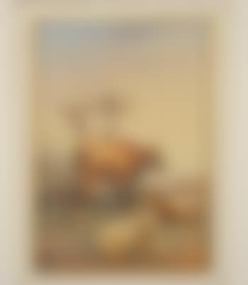 Evening repose (preview)