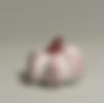 Pumpkin (preview)