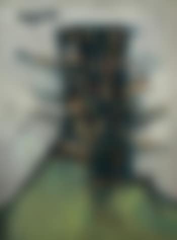 Disintegrated head (preview)