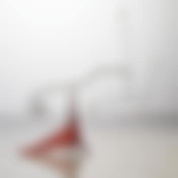 Untitled (Parrot Tail) (preview)