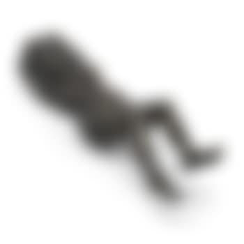 Nude Study (Betty Peters) (preview)