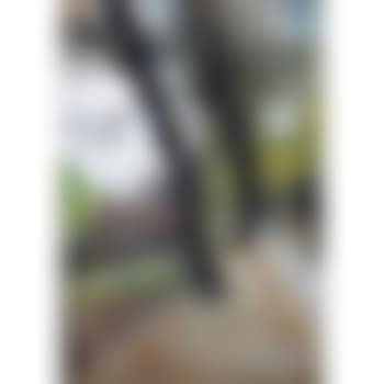 Tiergarten, Berlin (preview)