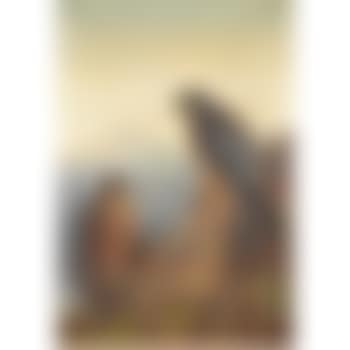 An Adult And Immature Peregrine (preview)