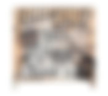 Forbidden vanity (preview)