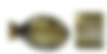 Carpe crucian (preview)